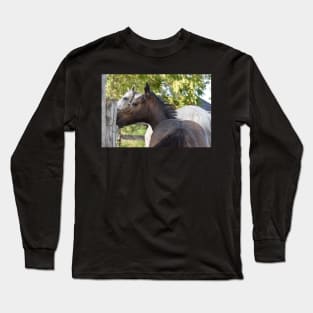 TB COLT Long Sleeve T-Shirt